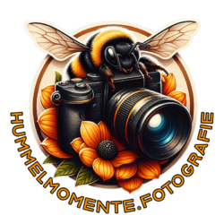 Hummelmomente